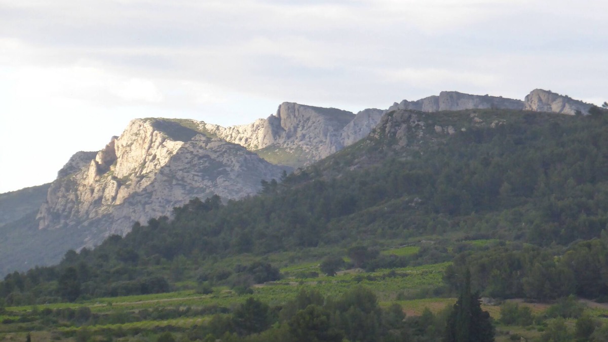Tautavel House | Tautavel: Large house in village between sea/mountain with gardens/terraces