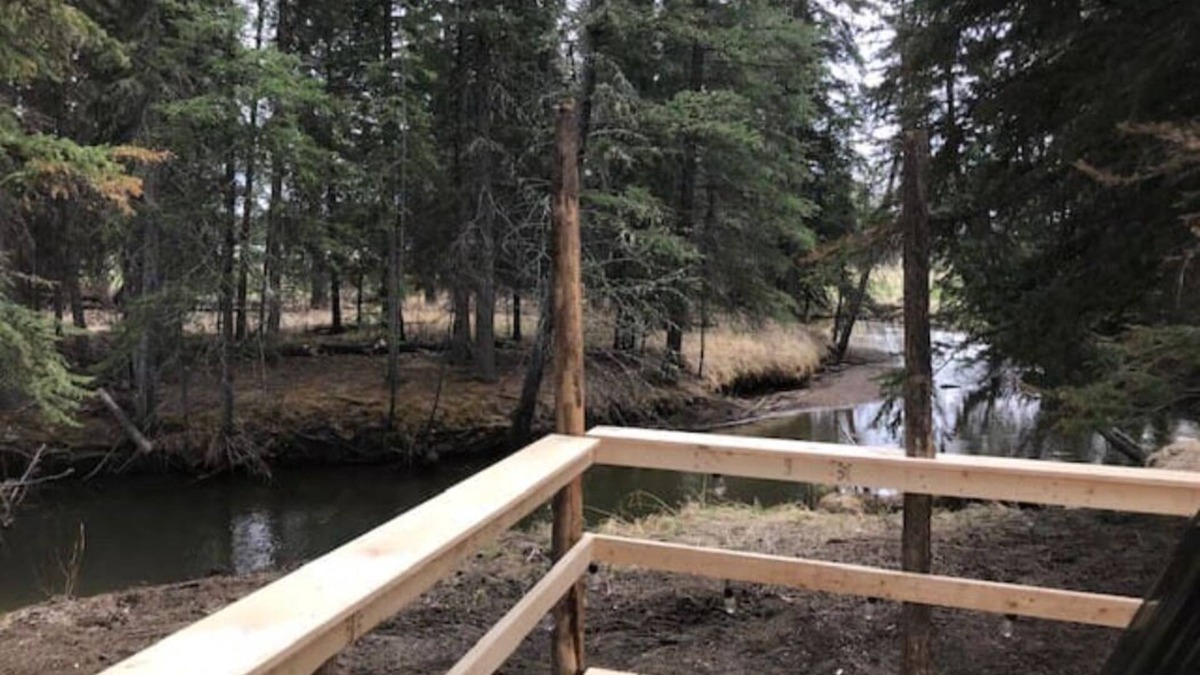 Clearwater County Cabin | Tay River Treehouse nestled on Tay River