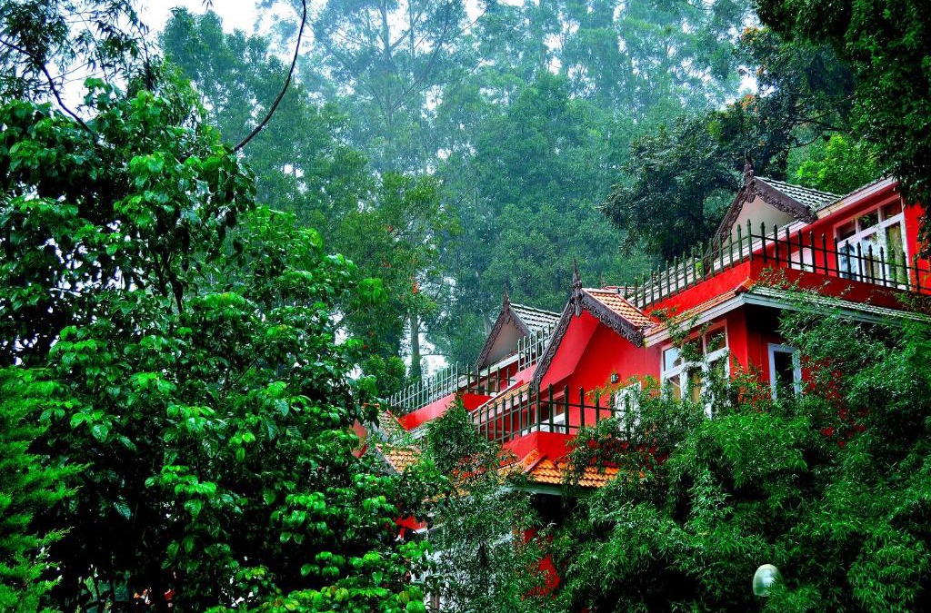 Pallivasal Resort | Tea Valley Resort, Munnar