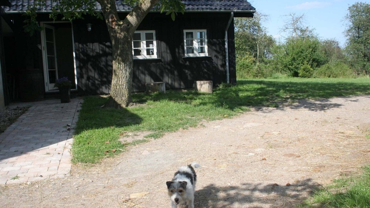 Vindeby Bed & Breakfast | Teglgaarden bed and breakfast