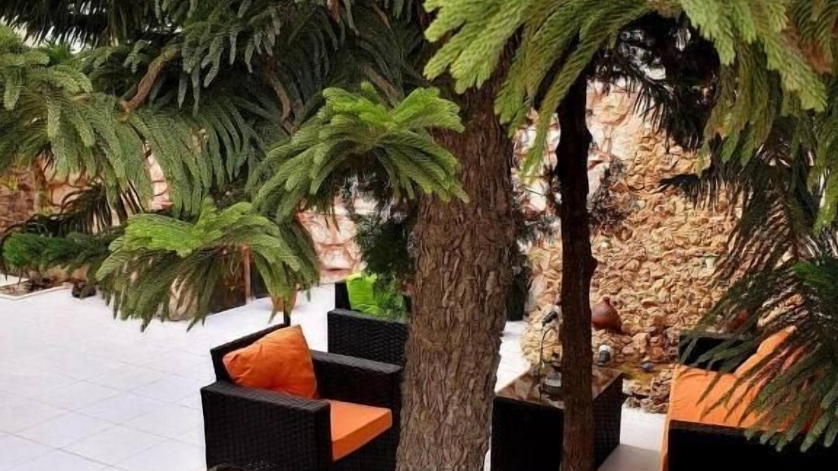 Madaba Bed & Breakfast | Tell Madaba Hotel