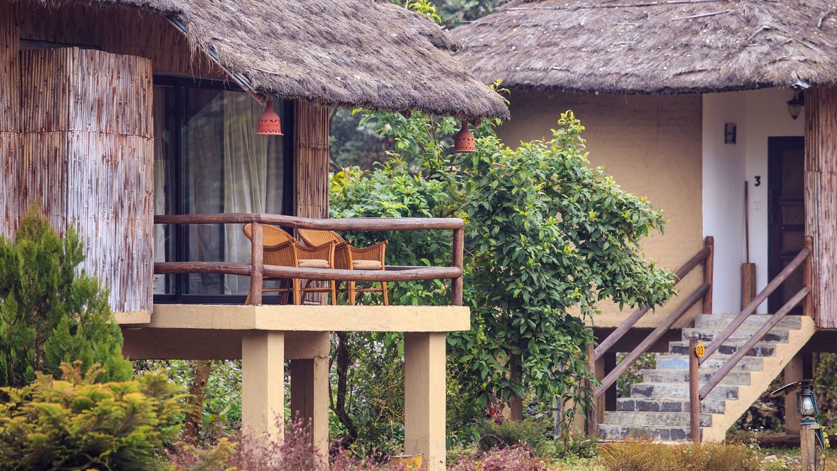 Kawasoti Hotel | Temple Tiger Green Jungle Resort