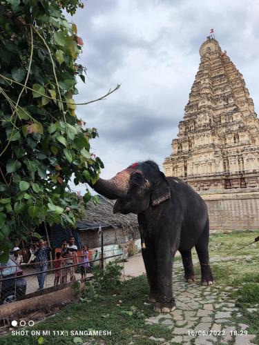 Hampi House | TEMPLE VIEW GUEST HOUSE