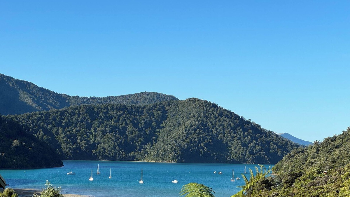 Duncan Bay House | Tennyson Sea Viewn