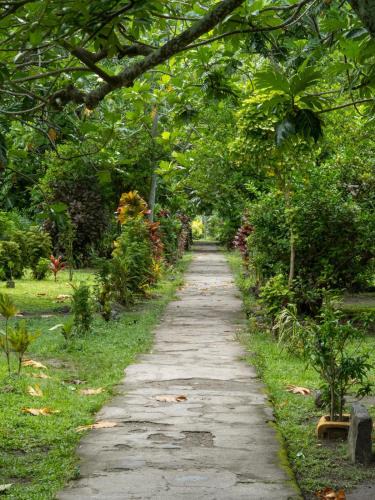 Yasawa Island Other | Tent 1