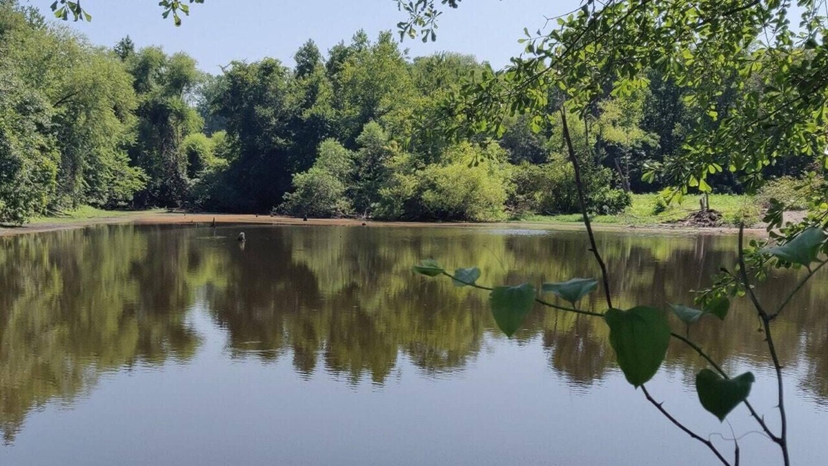 Mamers RV Rental | Tentrr Signature Site - Meadow Escape at CATHIS Farm