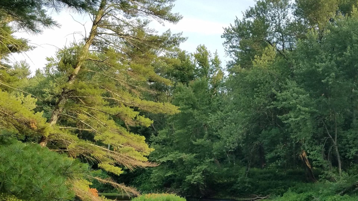 Merrimack RV Rental | Tentrr Signature Site - Souhegan Serenade