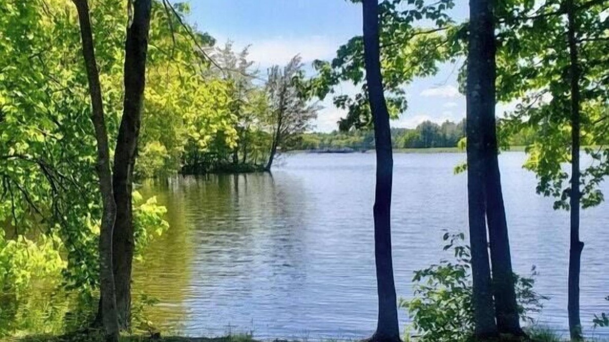 Auburn RV Rental | Tentrr Signature Site - Waters Edge @ Ewe Turn Farm
