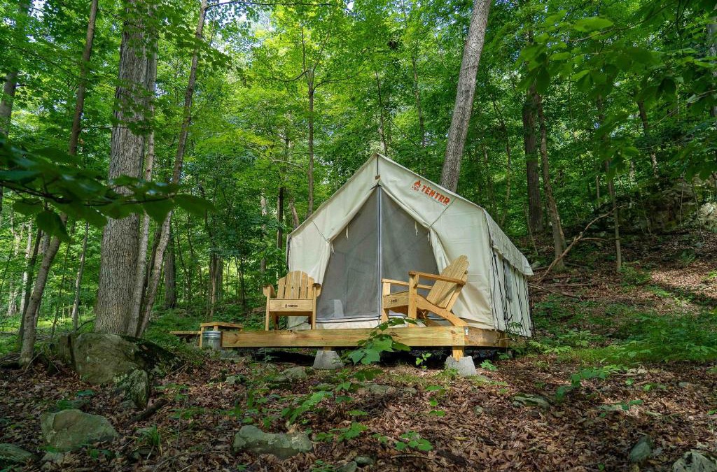 Staatsburg Other | Tentrr State Park Site - Mills Norrie State Park Site B