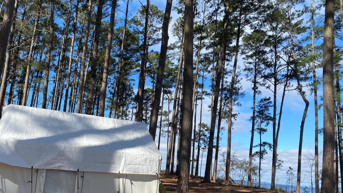 Anacoco RV Rental | Tentrr State Park Site - Louisiana South Toledo Bend State Park - Site B - Sing
