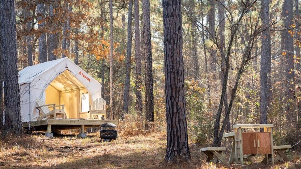 Quitman RV Rental | Tentrr State Park Site - Mississippi Clarkco State Park - Trailside E - Single C