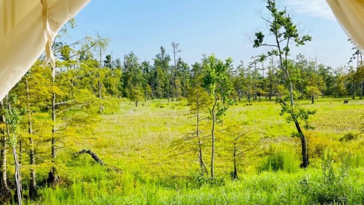 Lake Charles RV Rental | Tentrr State Park Site - Louisiana Sam Houston Jones State Park - Lagoon View G
