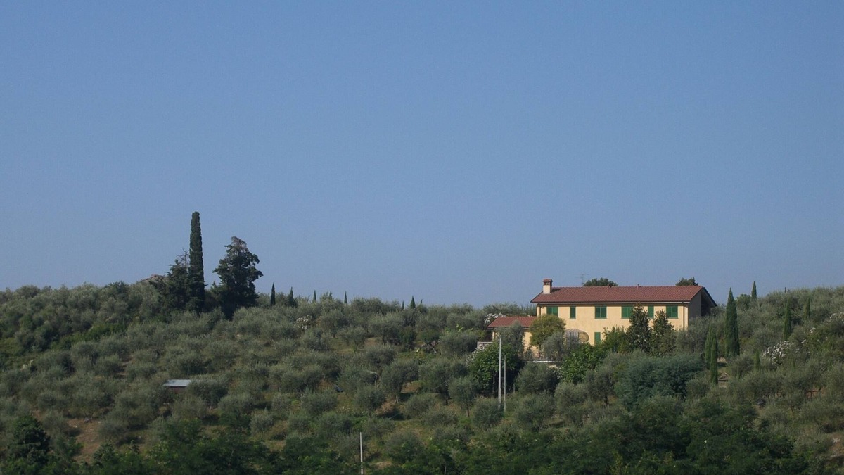 Massarosa Apartment | Tenuta Colsereno MAGNOLIA, Relax in hilly Villa looking to the sea 6 km far