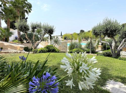 Avola House | Tenuta Green House