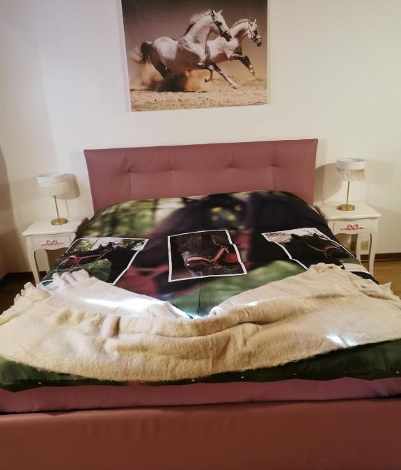 Ozzano dell'Emilia House | Tenuta I Ginepri