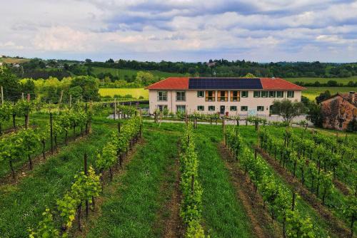 San Pietro di Feletto House | Tenuta Mani Sagge