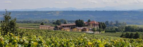 Rocca Grimalda House | Tenuta Montebello