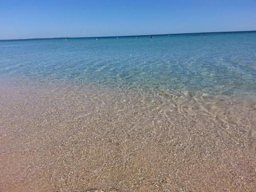 Padula Fede Bed & Breakfast | Tenuta Nonno Carmine
