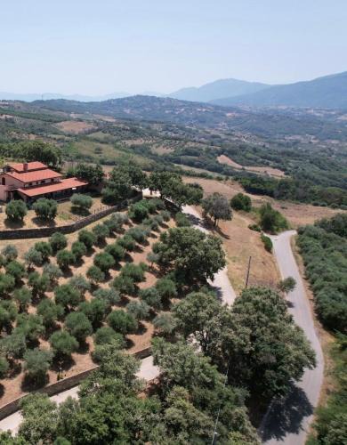 Altavilla Silentina Bed & Breakfast | Tenuta Raimo