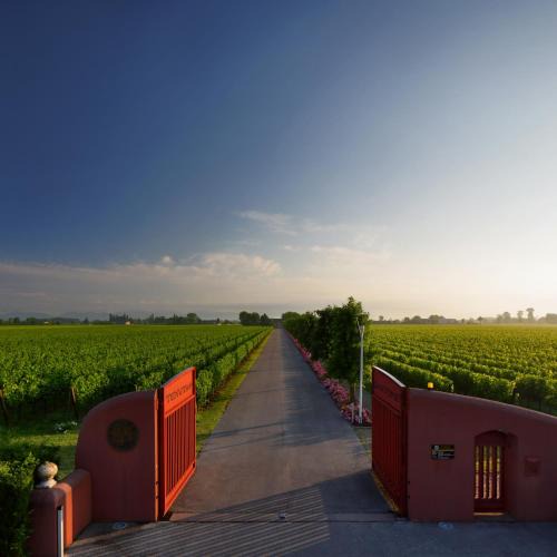 Biancade House | Tenuta Santomè