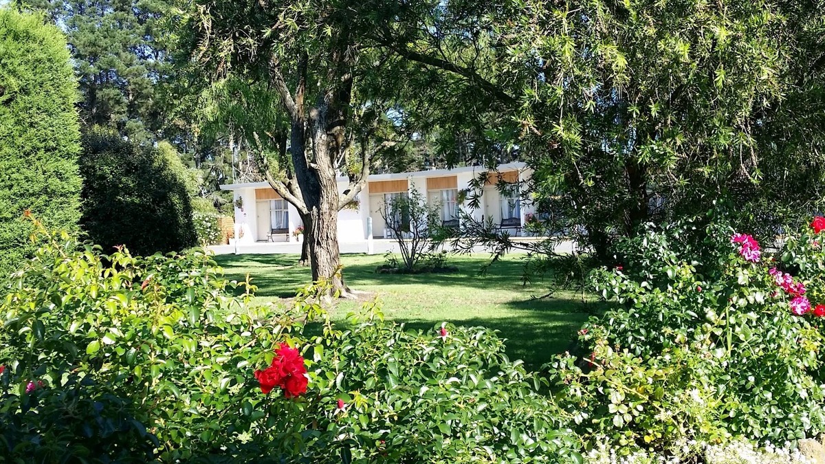 Terang Hotel | Terang Motor Inn