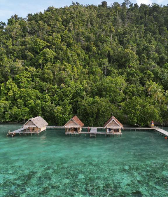 Mansuar Island House | Terimakasih homestay
