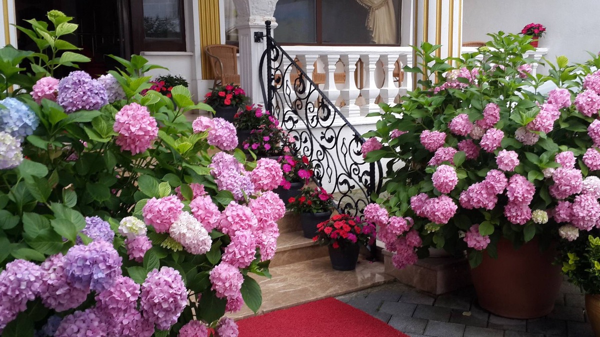 Gokcedere Hotel | Termal Elit Hotel