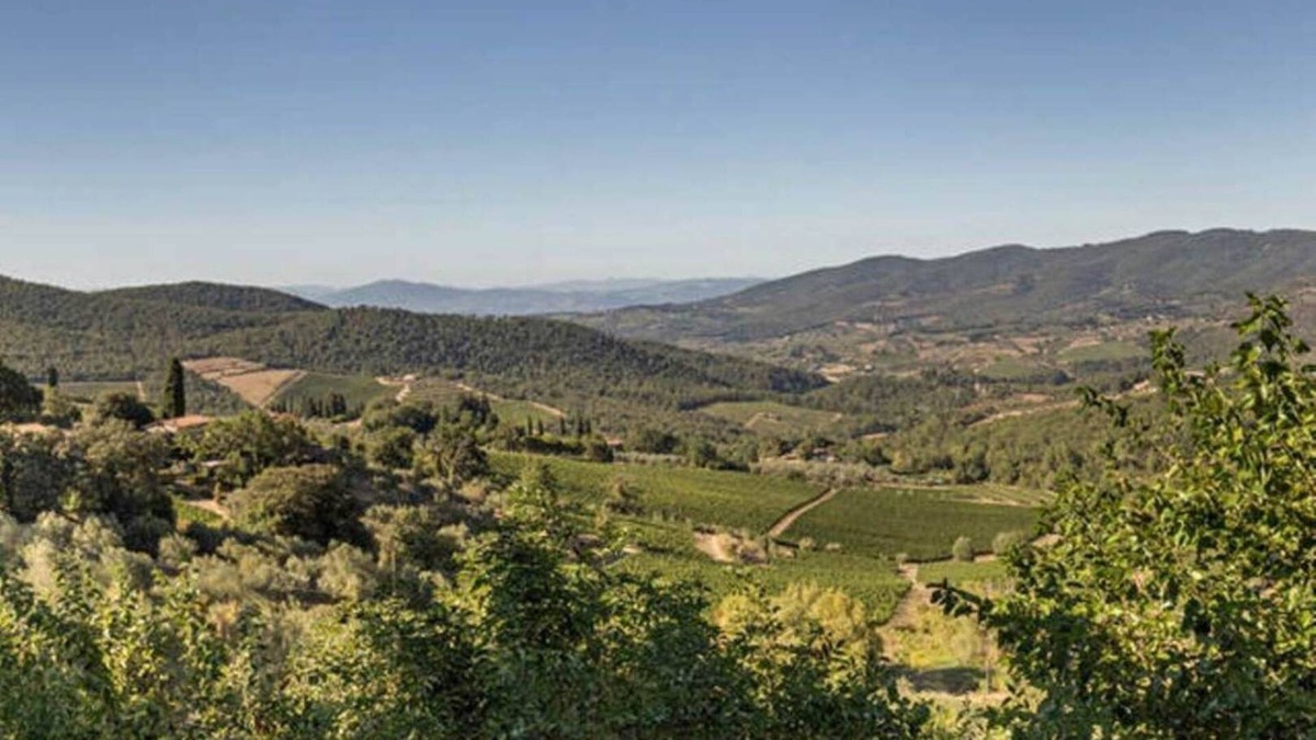 Panzano in Chianti Apartment | "TERRACE BELL"