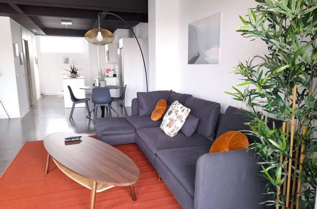 Alcobendas Apartment | Terrace loft with indoor swimming pool & SPA