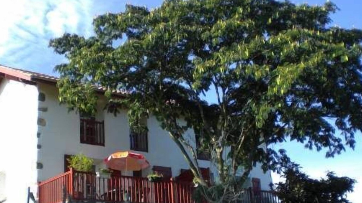 Ustaritz House | Terraced house between sea and mountain