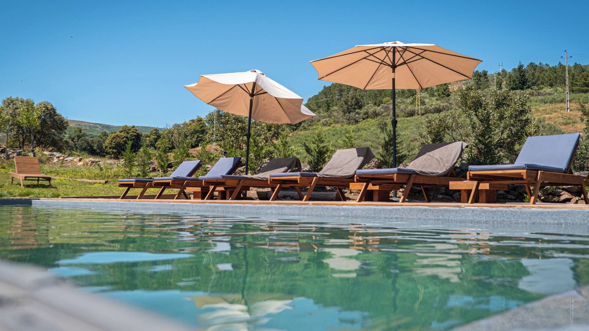 Videmonte Bed & Breakfast | TerraSense Mountain Charm Retreat & Farm