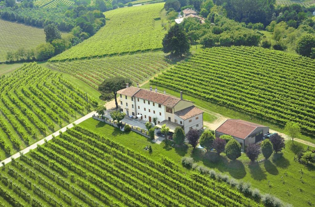Susegana Bed & Breakfast | Terre Boscaratto