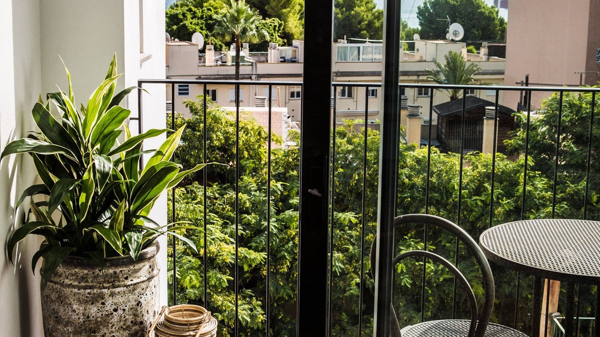 El Terreno Apartment | Terreno Suites