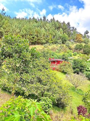 Filandia House | Tesorito House en las Montañas del Quindío