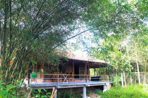 Phu Loc Apartment | Thỏ House