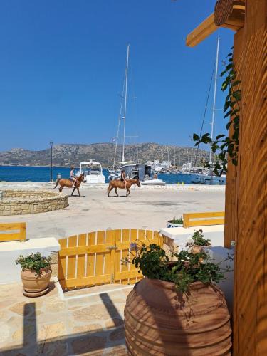 Lipsoi Apartment | Thalassea house2 Lipsi