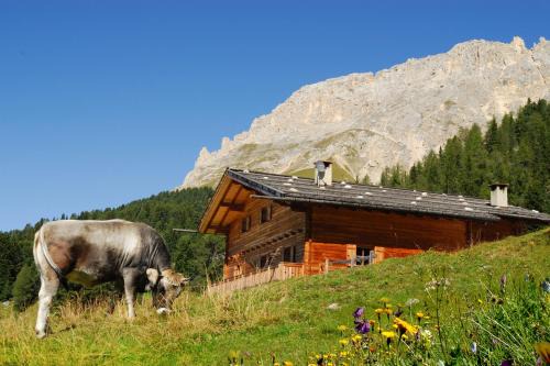 Obereggen House | Thaleralm