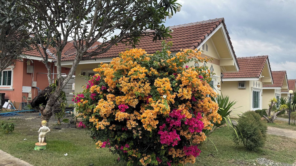 Soi Dao Hotel | Thanawan Resort