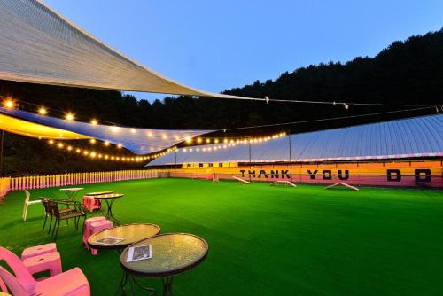 Seorak House | Thank you dog pet pension