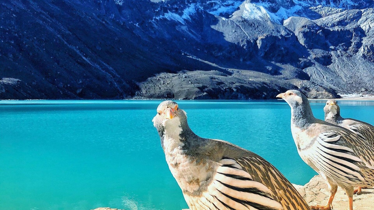Gokyo Hotel | Thanka Inn Gokyo