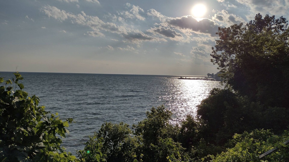 Colchester Cottage | "That 70's Cottage" (on Lake Erie!) Free Firewood!