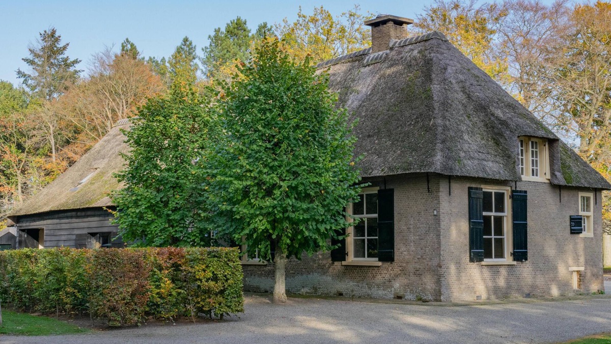 Verspreide huizen Ulvenhout House | Thatched farmhouse in the forest