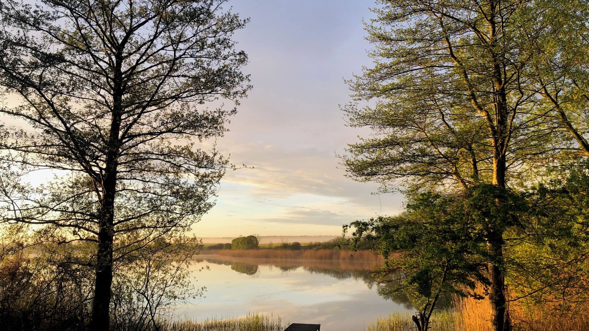 Rodlin Cottage | Thatched house on the lake with jetty, boat, fireplace and sauna