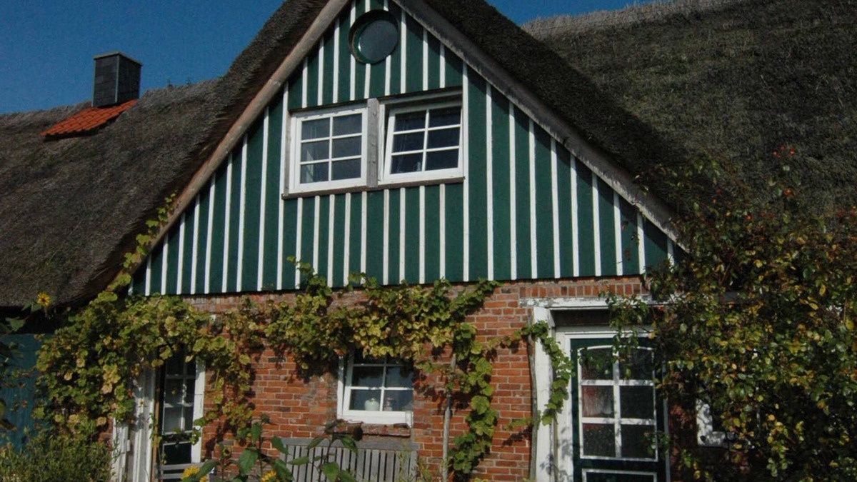 Jork Apartment | Thatched roof apartment 2 - Alter Obsthof am Elbdeich - Holidays under the thatched roof