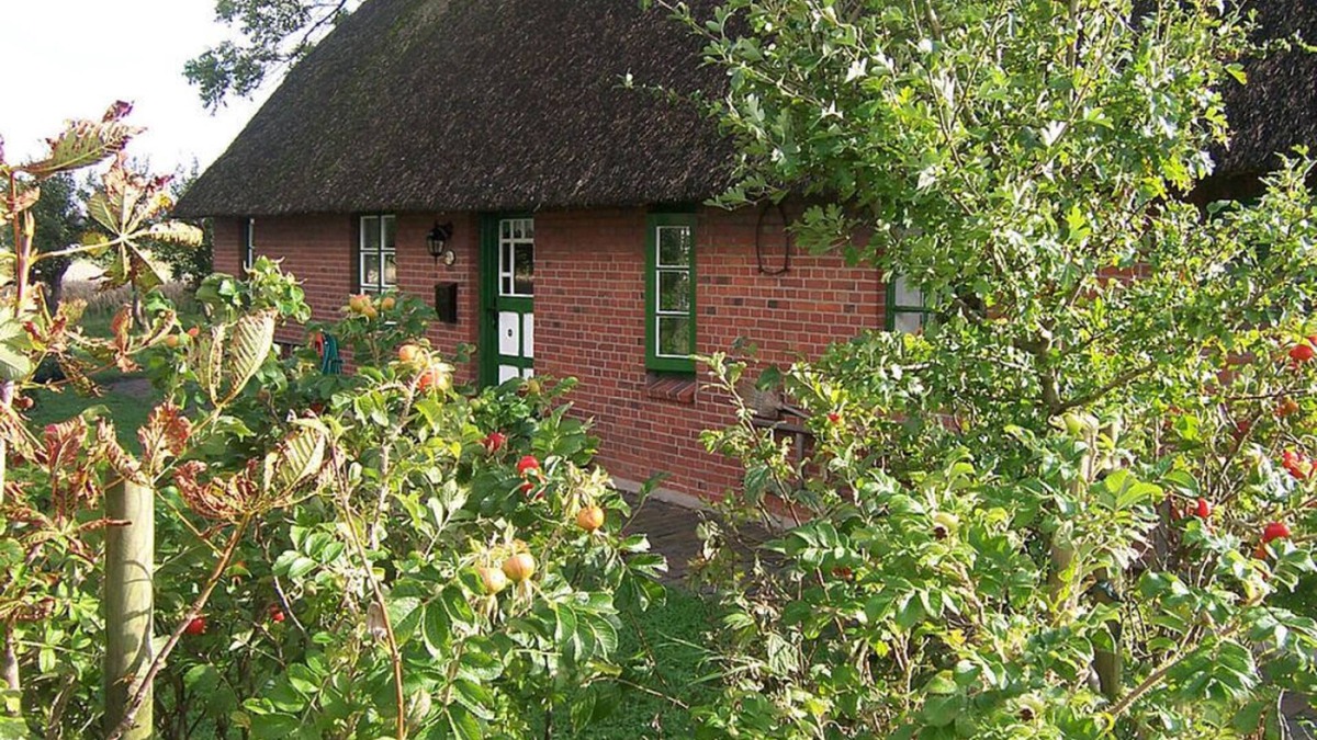 Hillgroven House | Thatched roof house Kehl