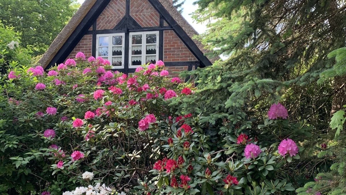 Sankt Dionys House | Thatched roof house - Heath village St. Dionys near Lüneburg-https:/youtu.be/xg4TJK1gvxU