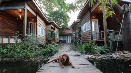 Buon Ma Thuot House | The 47 House Homestay BMT