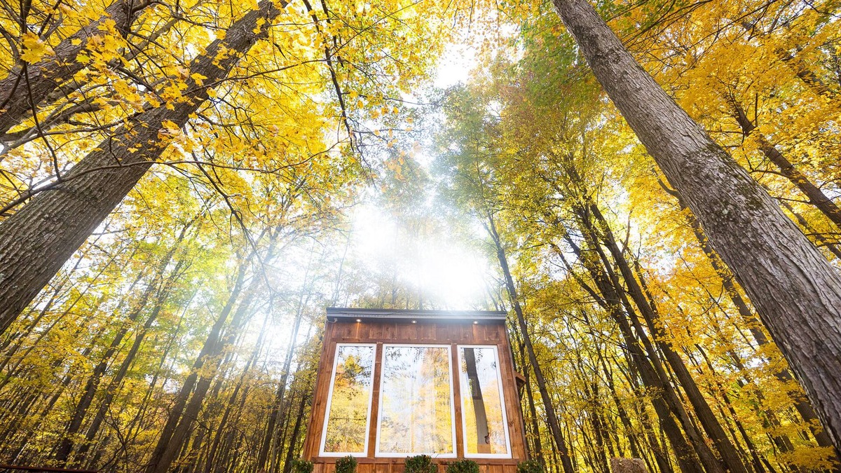 Middlesex Centre Cabin | The Adler Cabin at Fernwood Hills