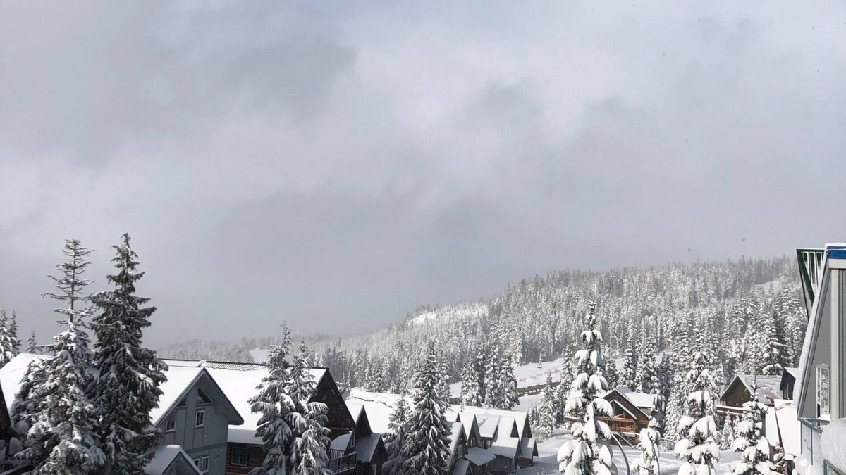 Courtenay House | The Akasha is a true ski in ski out property on Foster's Place