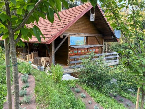 Zalec Apartment | The BeeHouse, Nature stay
